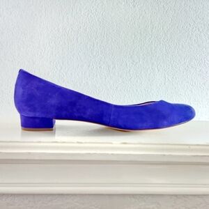 J. Crew Blue Sued Shoes